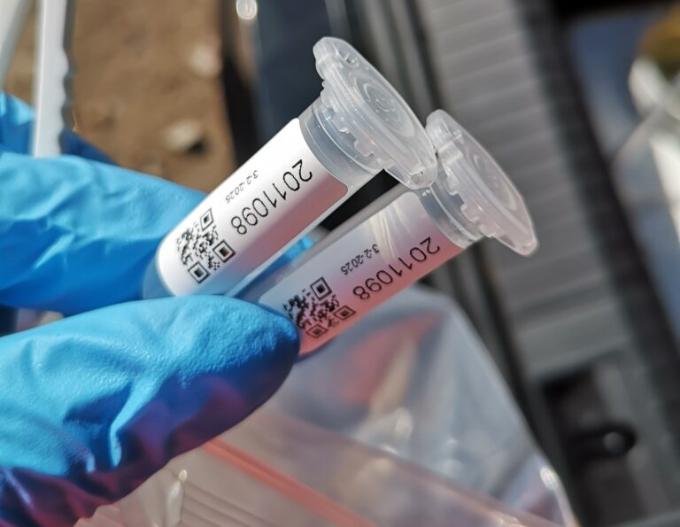 E-DNA – onderzoek